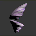 Detailed Butterfly Wings With Vibrant Purple Hues And Blue Accents On Studio Background