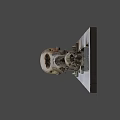Three Ancient Skull Specimens of Various Sizes Displayed on Exhibition Platform