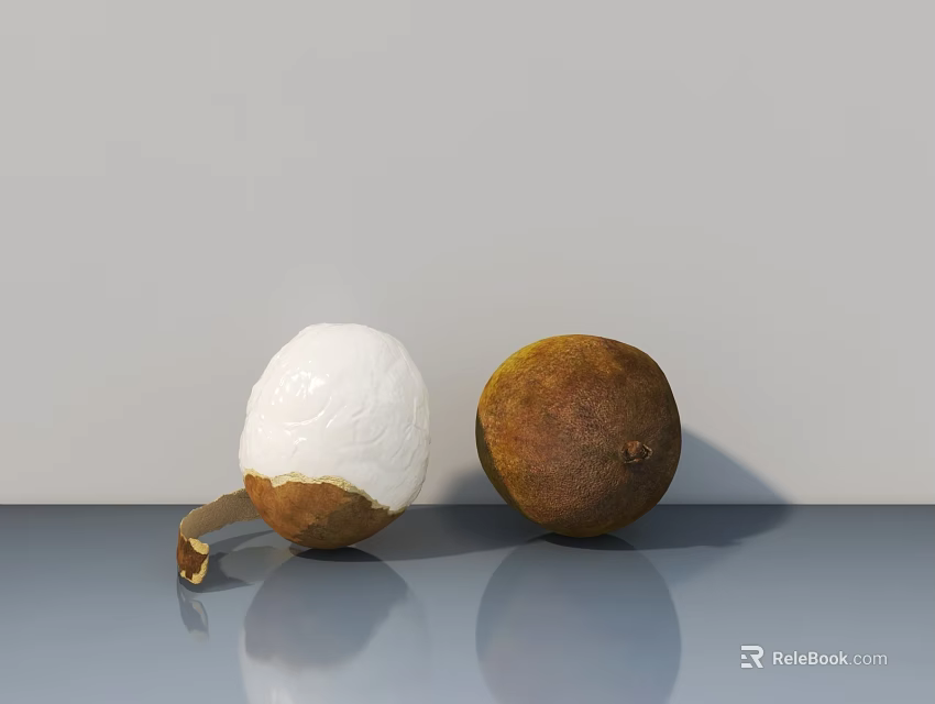 Fresh Taro Root Vegetable With Peeled White Flesh And Whole Brown Skin On Gray Surface 3d model 