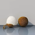 Fresh Taro Root Vegetable With Peeled White Flesh And Whole Brown Skin On Gray Surface
