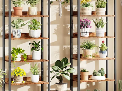 Indoor Plant Shelves With Wooden And Metal Structure Displaying Various Potted Greenery 3d model