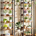 Indoor Plant Shelves With Wooden And Metal Structure Displaying Various Potted Greenery