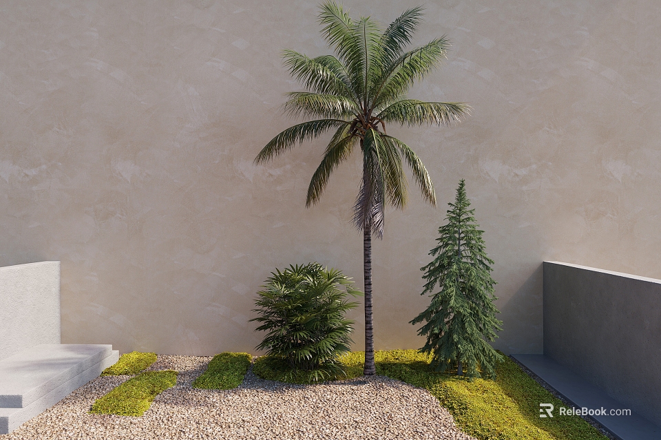 Tall Palm Tree in Garden with Beige Wall Small Trees Gravel and Green Plants 3d model 