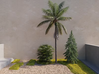 Tall Palm Tree in Garden with Beige Wall Small Trees Gravel and Green Plants 3d model