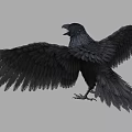 Detailed Black Crow with Spread Wings and Open Beak on Gray Background