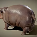 Modern hippopotamus pygmy hippo 3d model