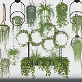 Lush Indoor Hanging Basket Plants With Various Greenery And Decorative Planters