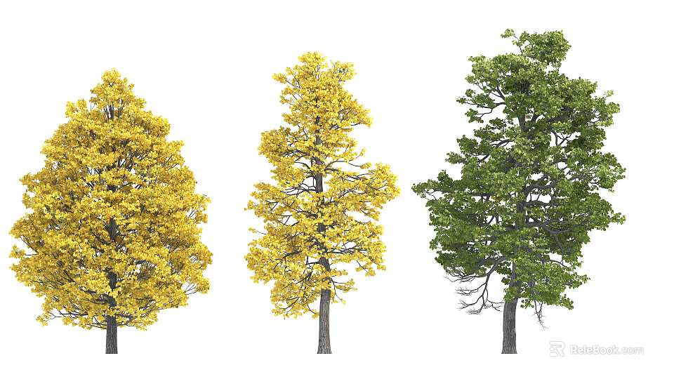 Three Arbor Trees With Golden Yellow and Green Foliage Variations 3d model 