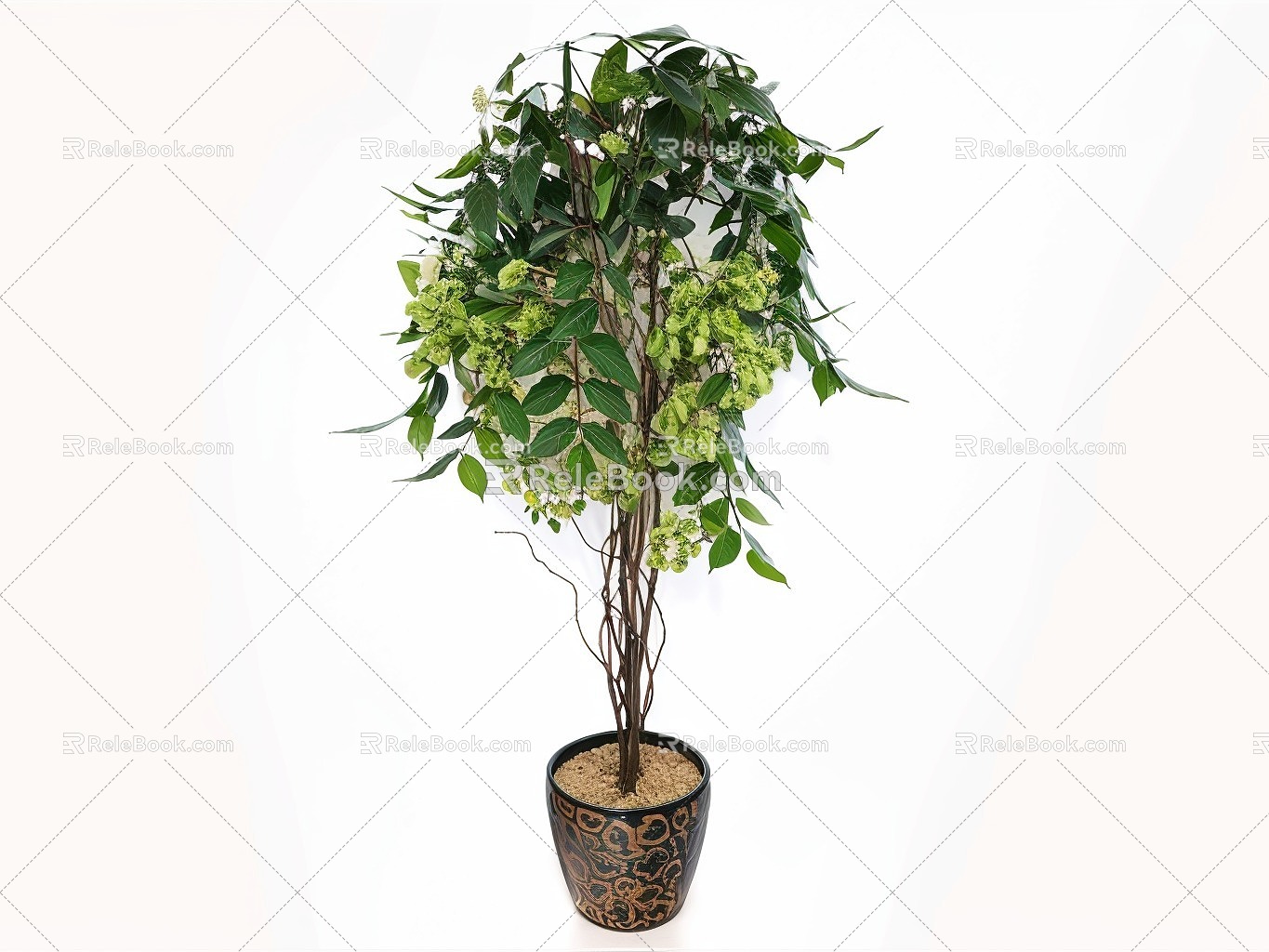 Plant Bonsai Bonsai 3d model