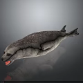 Realistic 3D Spotted Seal With Open Mouth And Red Tongue Lying On Dark Surface
