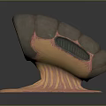 Detailed Biological Organism With Spiral Shell Muscular Inner Texture And Sturdy Base