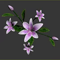 Pink Flowers with Green Stems Leaves and Buds on Gray Background