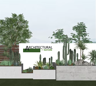Modern Plants Landscape Plants 3d model