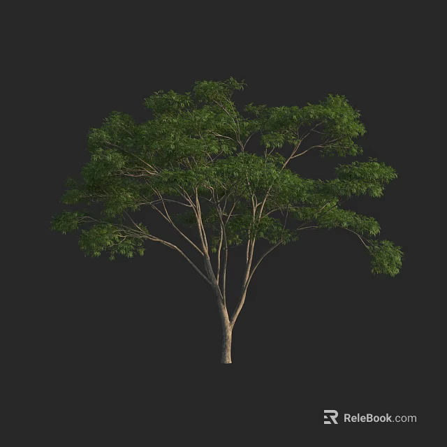 Tall Arbor with Lush Green Foliage and Spreading Branches in Isolated Setting 3d model 