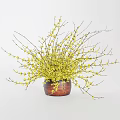 Yellow Blossom Flowers Arranged in Wooden Vase for Home Interior Decor