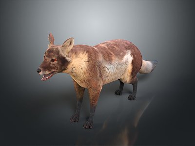 Wolf Cartoon Wolf Animation Wolf Animation Wolf Big Bad Wolf Warrior Cartoon Character Cartoon Animal 3d model