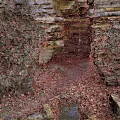 Natural Scenery Featuring Rocky Cave Entrance With Vines Fallen Leaves And Small Stream