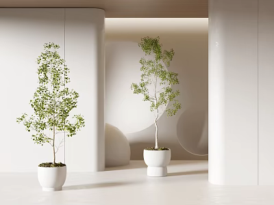 modern potted plant 3d model