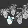 Indoor Potted Plants With Various Green Plants Ferns Lush Leaves And Textured White Pots