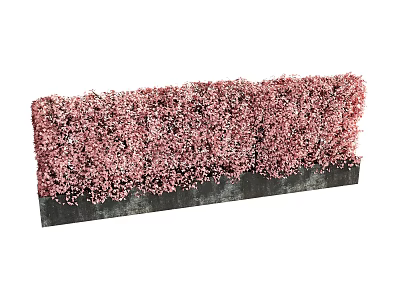Lush Pink Flower Hedge Featuring Dense Blooms And Dark Base For Garden 3d model