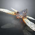 Cicada Insect With Patterned Wings Dark Body And Orange Edges On Reflective Surface