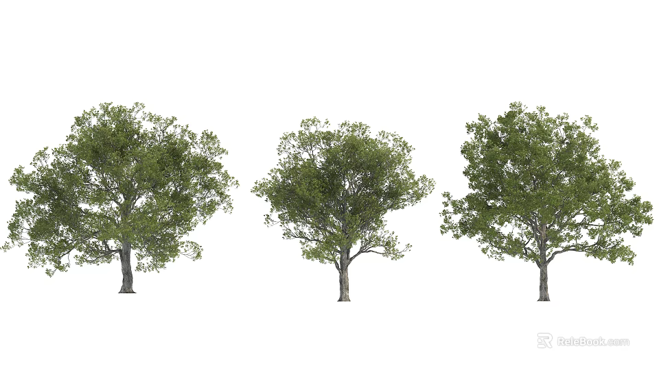 Three Arbor Trees With Lush Green Foliage And Natural Trunk Structure 3d model