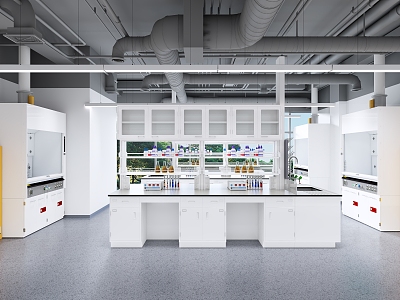 Chemical Laboratory College Chemical Laboratory Fume Hood model