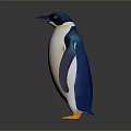 Realistic 3D Penguin Rendering With Orange Feet White Belly On Dark Background