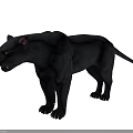 Realistic Black Reptile 3D Model Standing On Gray Background With Detailed Scales