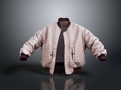 Fashionable Plaid Bomber Jacket With Brown Collar Cuffs Zipper Closure And Textured Fabric 3d model