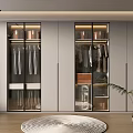 Modern Walk in Closet Interior Design With Glass Doors Clothes And Storage Boxes