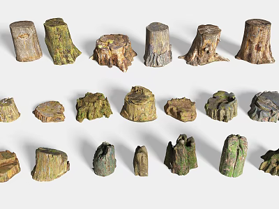 Garden Ornaments Featuring Various Shaped And Sized Wooden Tree Stumps 3d model