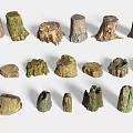 Garden Ornaments Featuring Various Shaped And Sized Wooden Tree Stumps