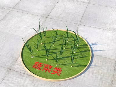 Fresh Green Vegetable Seedlings Growing in Circular Plate with Vegetable Label 3d model