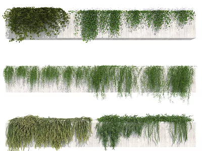 Lush Green Vines with Cascading Foliage Growing on Concrete Wall for Natural Decoration 3d model