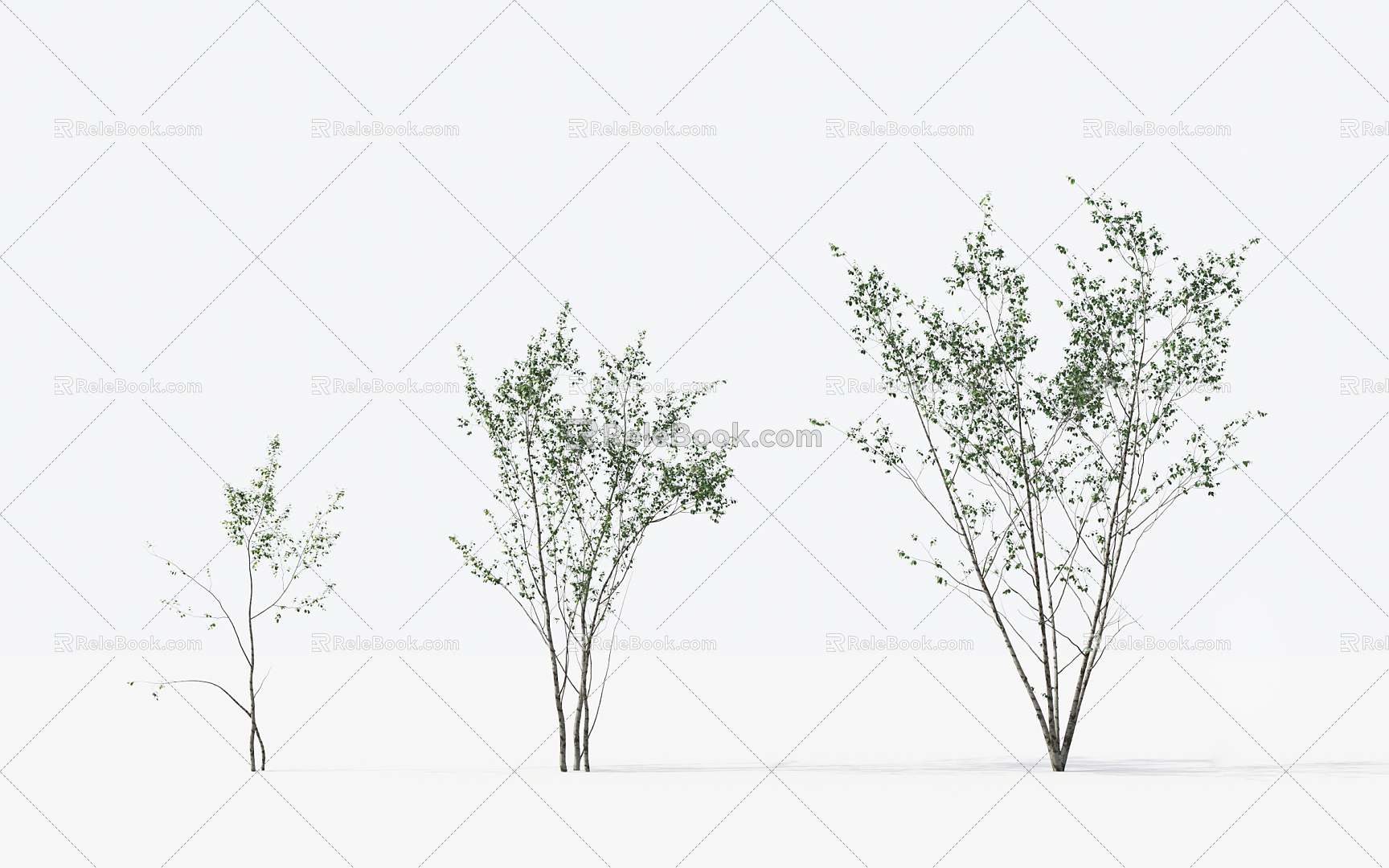 Modern Trees Small Trees 3d model