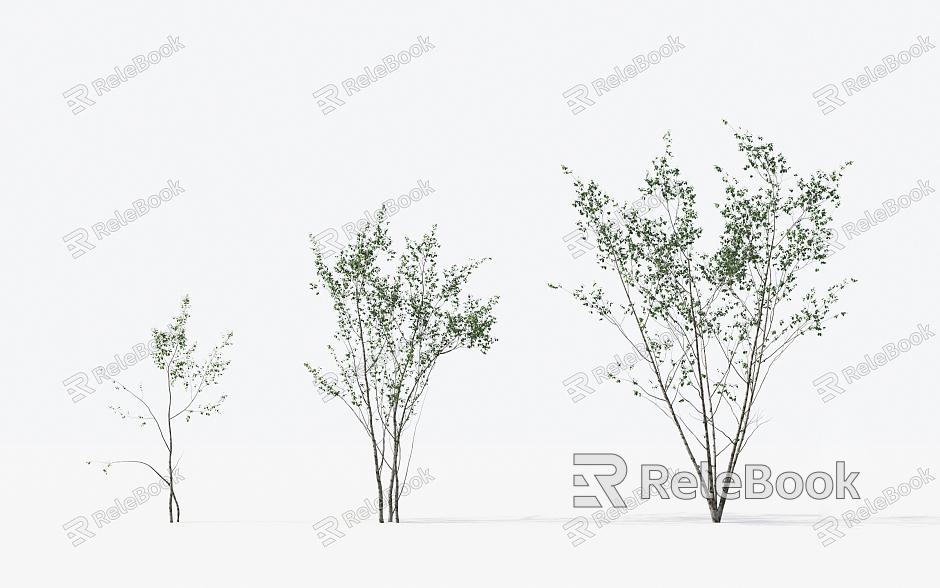 Modern Trees Small Trees model