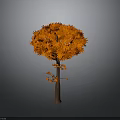 Vibrant Orange Leaf Tree With Brown Trunk And Lush Foliage Against Gray Background