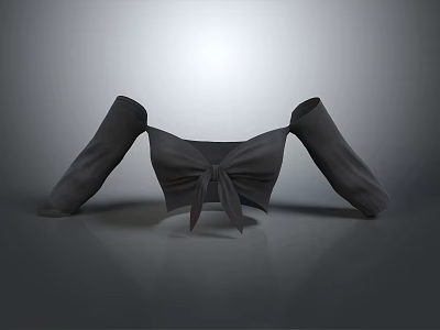 Stylish Dark Colored Off Shoulder Crop Top With Long Sleeves And Bow Detail 3d model