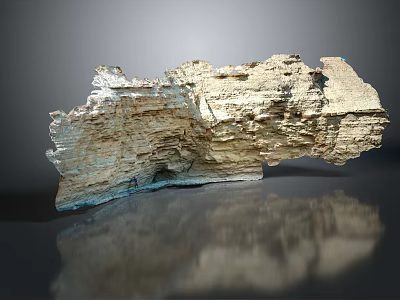 Natural Wooden Stone With Layered Texture And Rough Surface On Reflective Base 3d model