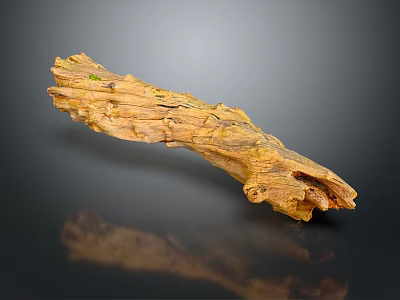 Natural Wood Branch Featuring Unique Curved Shape And Natural Textured Surface 3d model