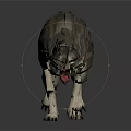 Realistic 3D Wolf Model With Growling Pose And Detailed Gray Fur