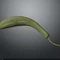 Fresh Green Curved Banana With Red Label And Long Stem