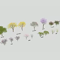Ten Exquisite 3D Arbor Models Showcasing Diverse Flowering Tree Varieties 3d model