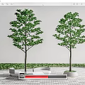 Modern Tree Pool Landscape Tree 3d model