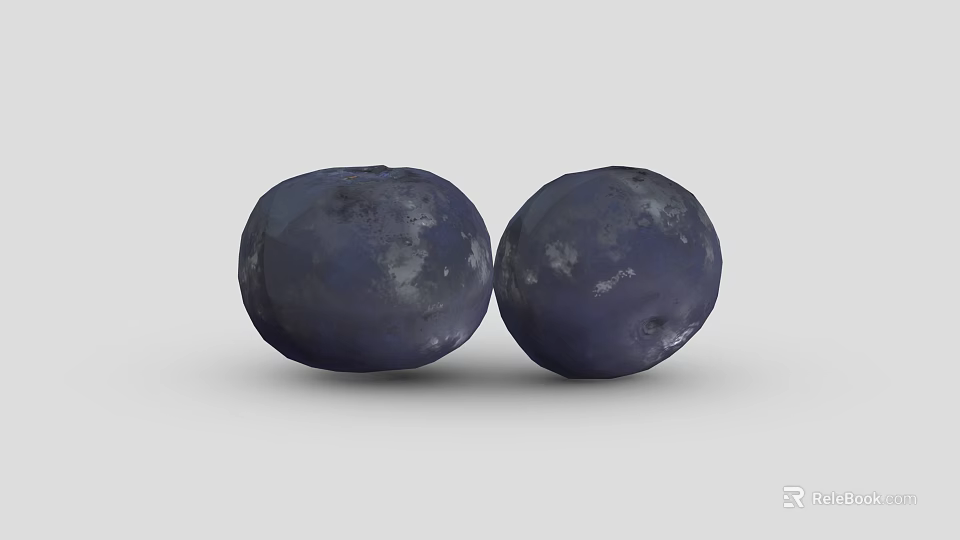 Two Fresh Juicy Round Deep Purple Blueberries on Clean Gray Background 3d model 