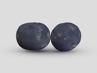 Two Fresh Juicy Round Deep Purple Blueberries on Clean Gray Background 3d model