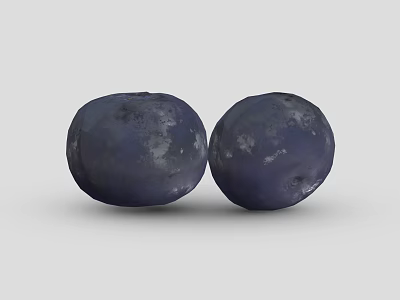Two Fresh Juicy Round Deep Purple Blueberries on Clean Gray Background 3d model Two Fresh Juicy Round Deep Purple Blueberries on Clean Gray Background 3d model