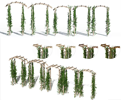 Decorative Green Vines On Wooden Garden Arches And Trellis Frames For Outdoor Decoration 3d model