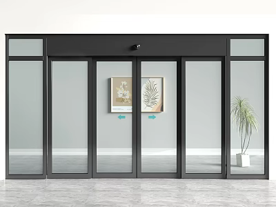 Modern Automatic Glass Door With Black Frame Decorative Plant Paintings And Potted Greenery 3d model